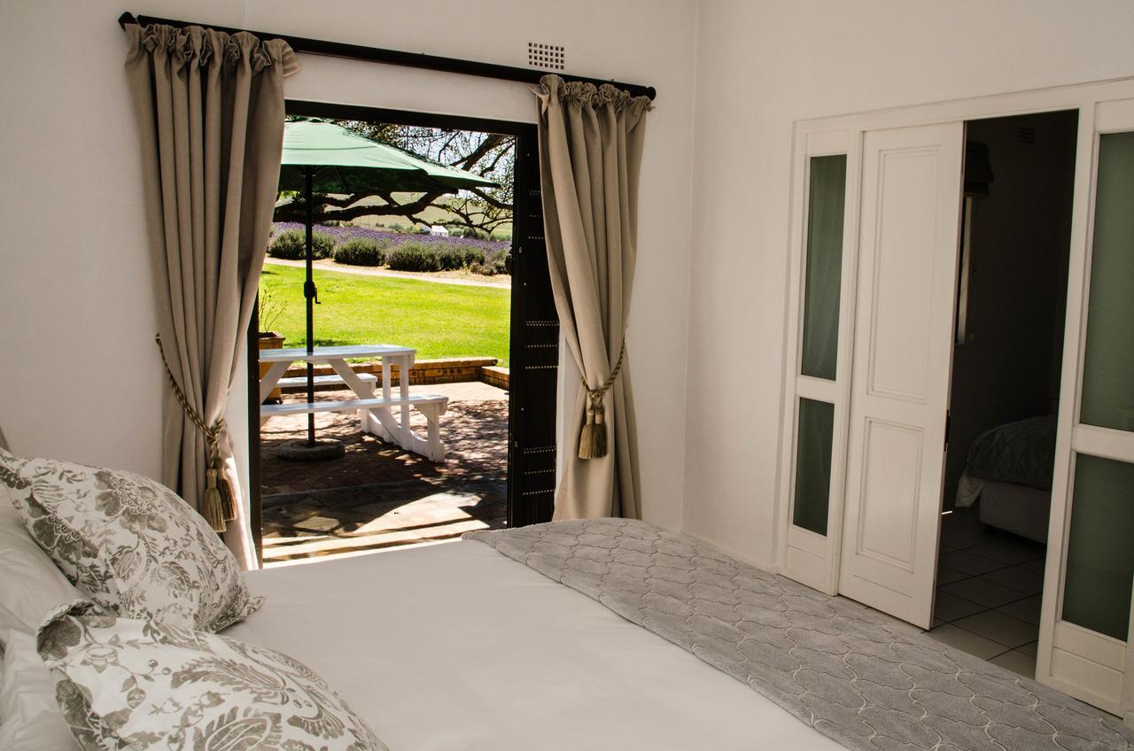 Villa Lavinia Lifestyle Municipalità locale di Municipalità locale di Stellenbosch Esterno foto