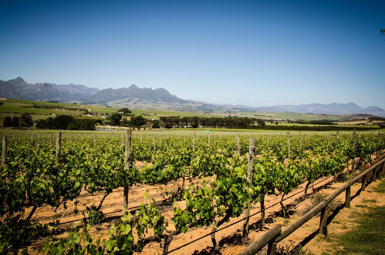 Villa Lavinia Lifestyle Municipalità locale di Municipalità locale di Stellenbosch Esterno foto