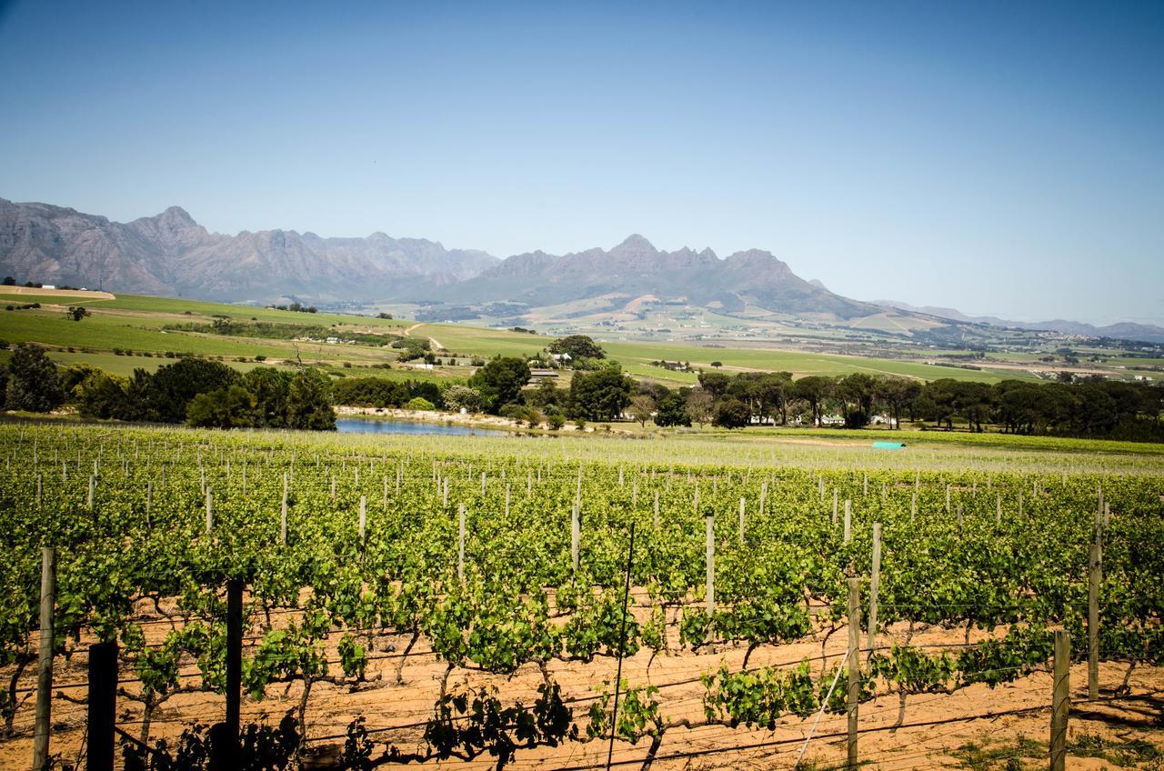 Villa Lavinia Lifestyle Municipalità locale di Municipalità locale di Stellenbosch Esterno foto