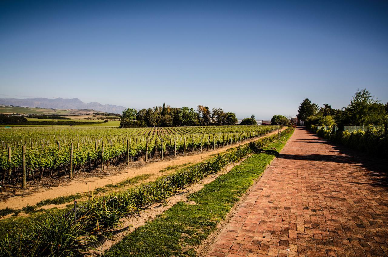 Villa Lavinia Lifestyle Municipalità locale di Municipalità locale di Stellenbosch Esterno foto
